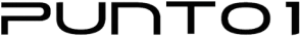 Punto1